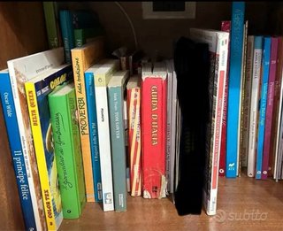 Lotto misto libri da leggere adulti e bambini