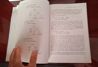Teorías lingüísticas UNED
