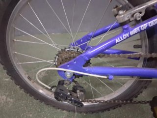 Bicicleta