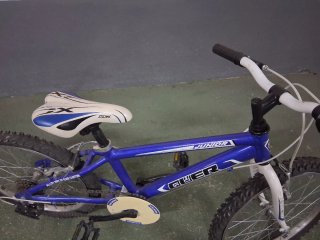Bicicleta