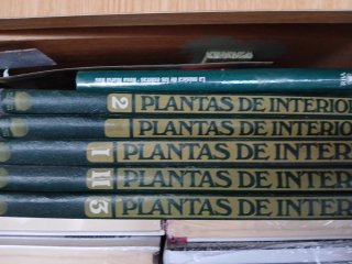 Más de 250 libros varias colecciones