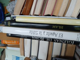Más de 250 libros varias colecciones