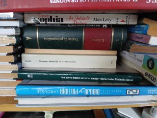 Más de 250 libros varias colecciones