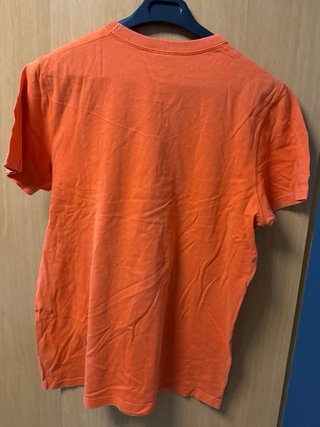 Camiseta Hollister