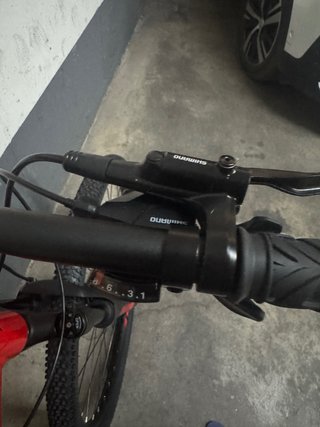 Bicicleta MMR custom line kuma 00 29” talla M