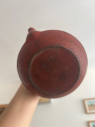 Tetera de hierro fundido japonesa