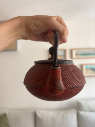 Tetera de hierro fundido japonesa