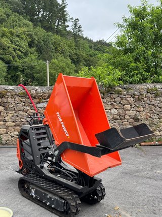 Dumper Plus Power 2024