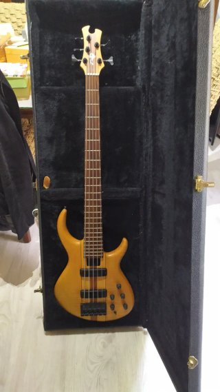 Vendo bajo tobias basic cinco cuerdas mástil conti