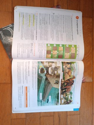Geografía e Historia, 2 ESO, Castilla y León, O...