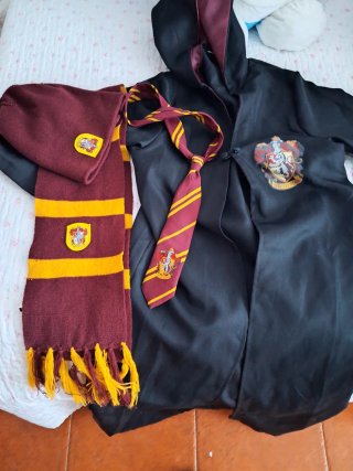 Conjunto de Harry potter
