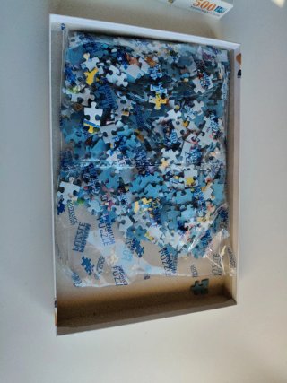 Puzzle pokemon
