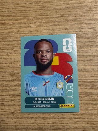 intercambio cromos mundial
