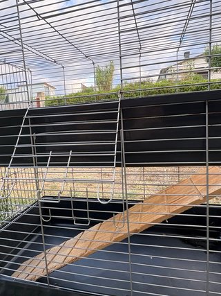 Jaula doble planta para Conejo, Cobaya