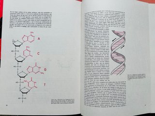 Temas básicos de química
