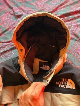 North face seminuevo premium