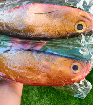 Vinilos Gigantes, Vinilos Pesca, Storm