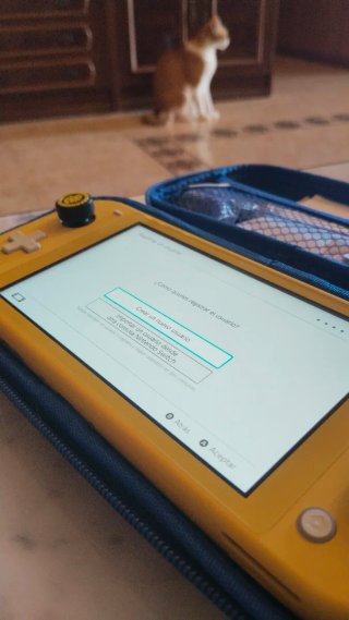 Nintendo Switch Lite Amarilla