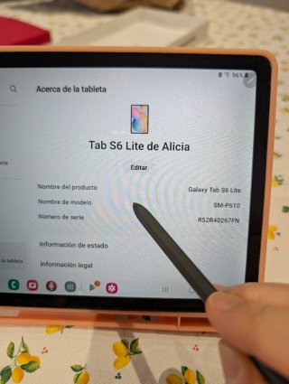 Tablet Tab S6 Lite con S Pen y 2 fundas