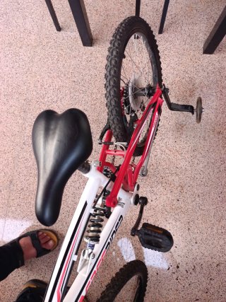 Bicicleta niño Freerider