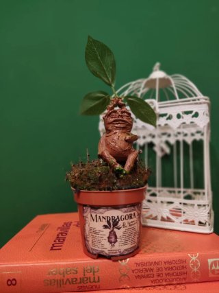 Mandrágora de Harry Potter decorativa