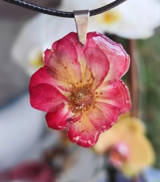 Colgante de Rosa Natural de Alhama