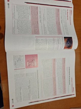 Beatriz Bernal Bachillerato. Lengua castellana