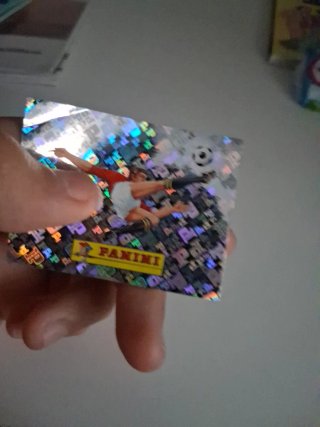Cromo Panini Mundial Error Diseño