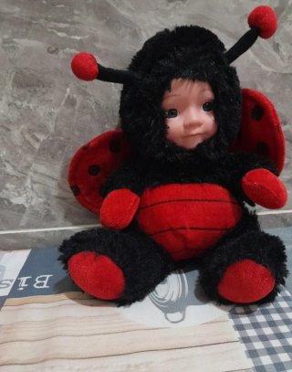 Bambolotto coccinella