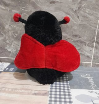 Bambolotto coccinella