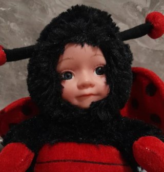 Bambolotto coccinella