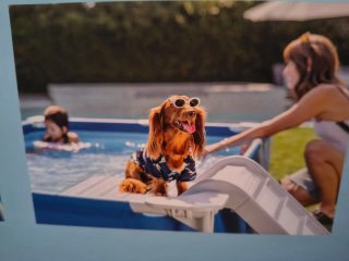 Rampa piscina perro intex