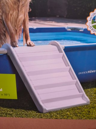 Rampa piscina perro intex