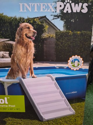 Rampa piscina perro intex