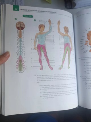 Fundamentos de psicobiología. Cuaderno autoevaluac
