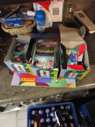 Cromos mundial Panini