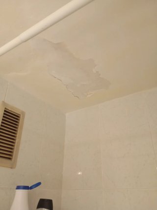 Reformas , limpiezas en general, Pintor