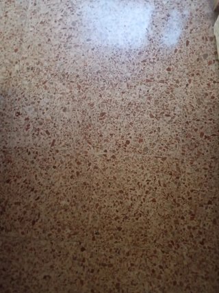 Reformas , limpiezas en general, Pintor