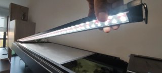 Acuario Fluval 240l + mueble, filtros, iluminación