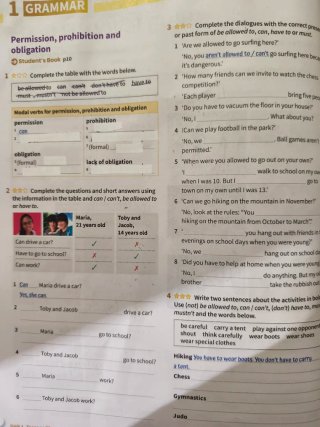 Synchronize 3 Workbook (Spain)