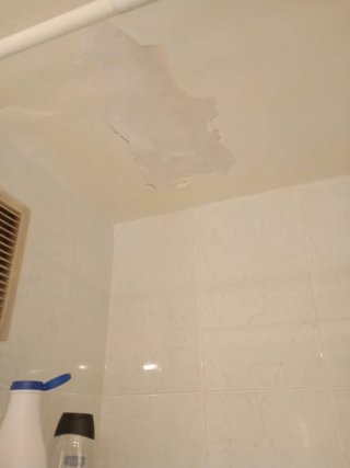 Multiservicios ofrezco para reformas, reparaciones