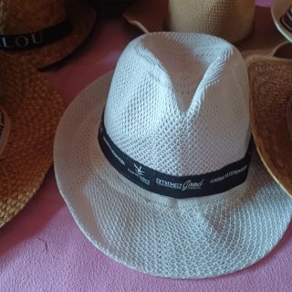 Lote de sombreros variados