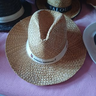Lote de sombreros variados