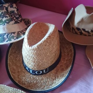 Lote de sombreros variados