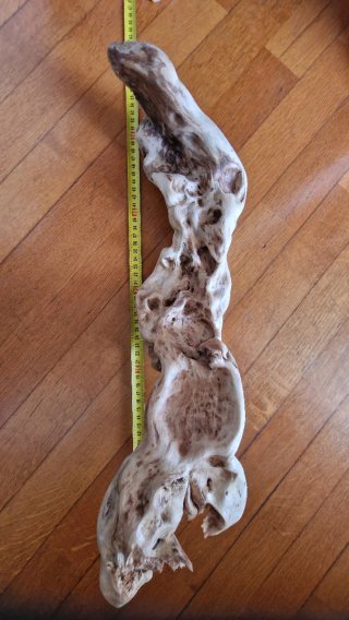 Pezzo legno fiume