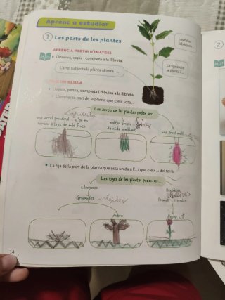 CONEIXEMENT DEL MEDI 3 PRIMARIA CONSTRUINT MONS