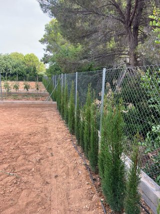 Jardinero y albañil