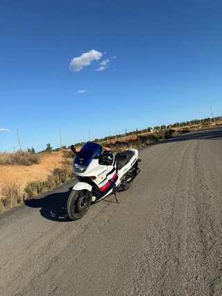 Honda CBR 1000 Sportbike Azul/Blanco