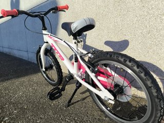 Bicicleta infantil DBT 160