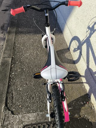 Bicicleta infantil DBT 160